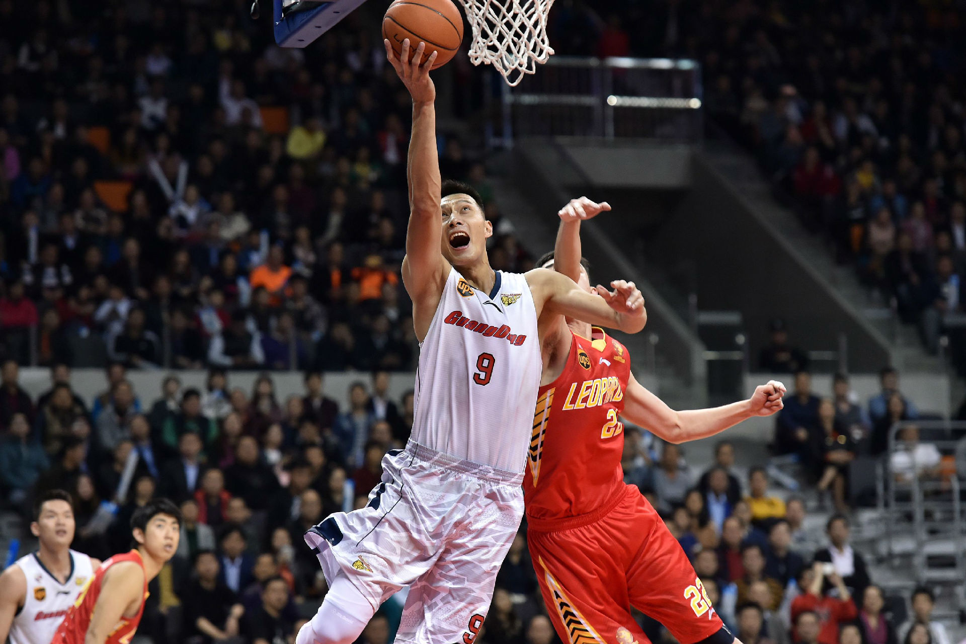 随着纳达尔 随着纳达尔