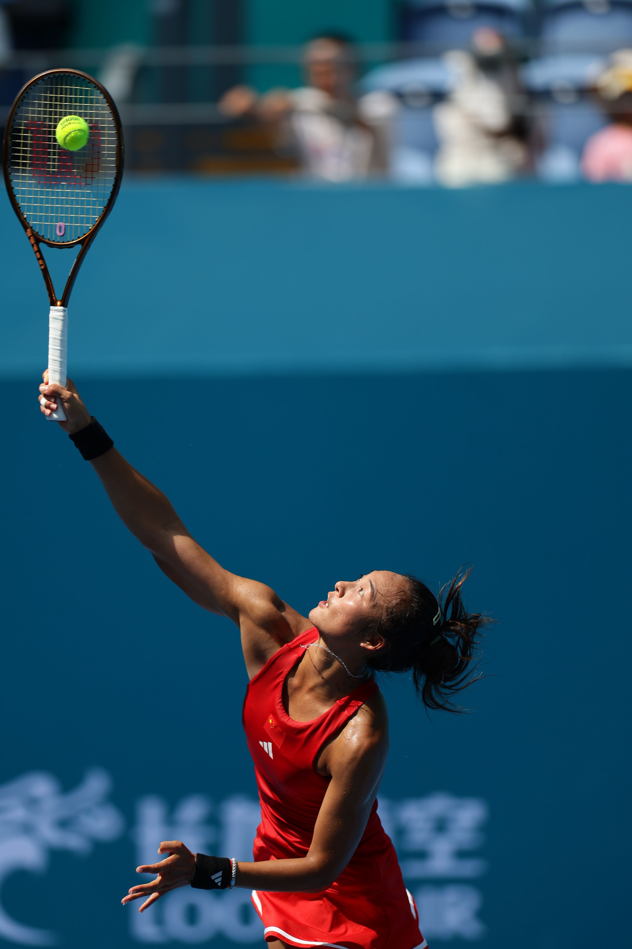 鲁婉遥章蕴 鲁婉遥章蕴