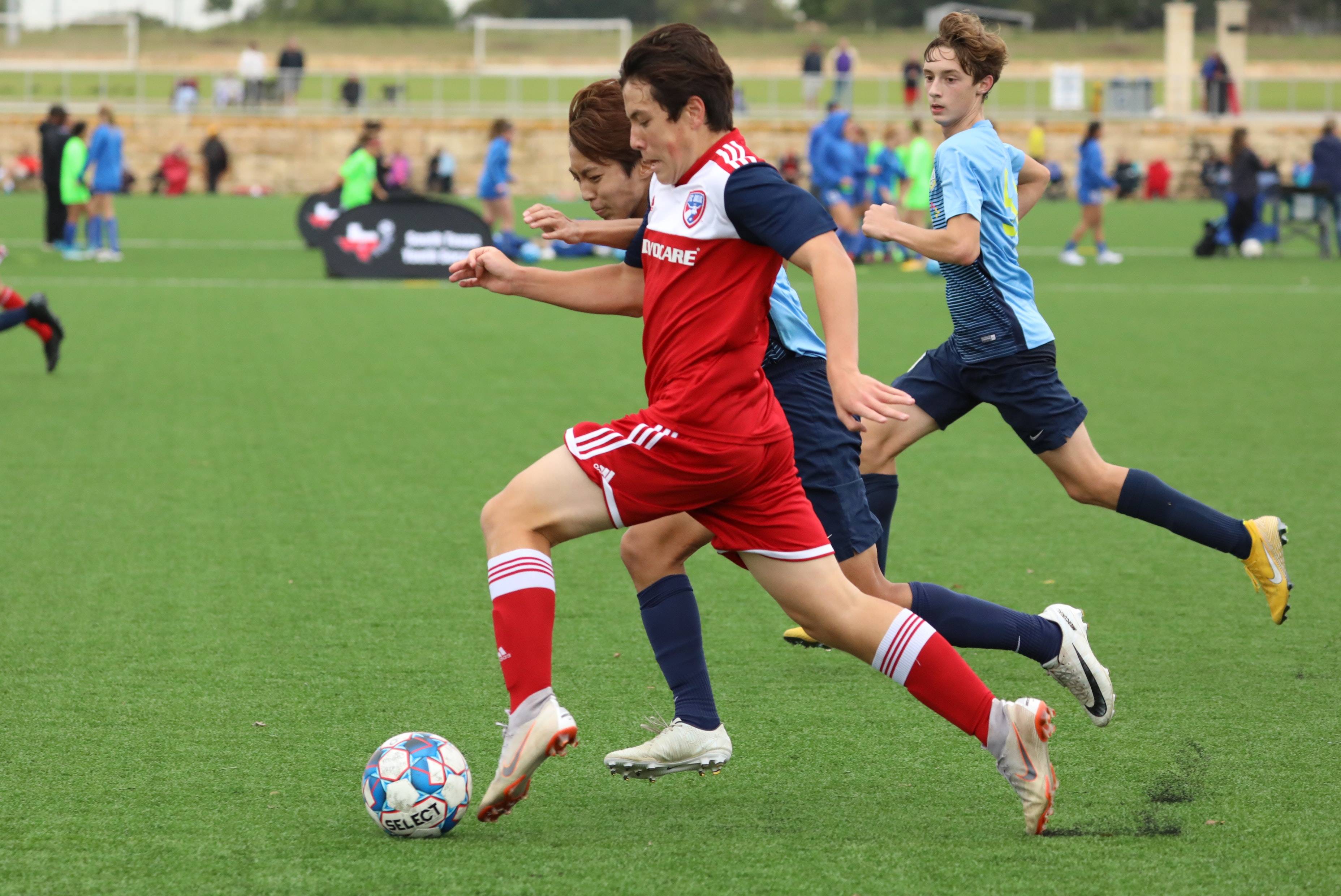 照常升起 照常升起