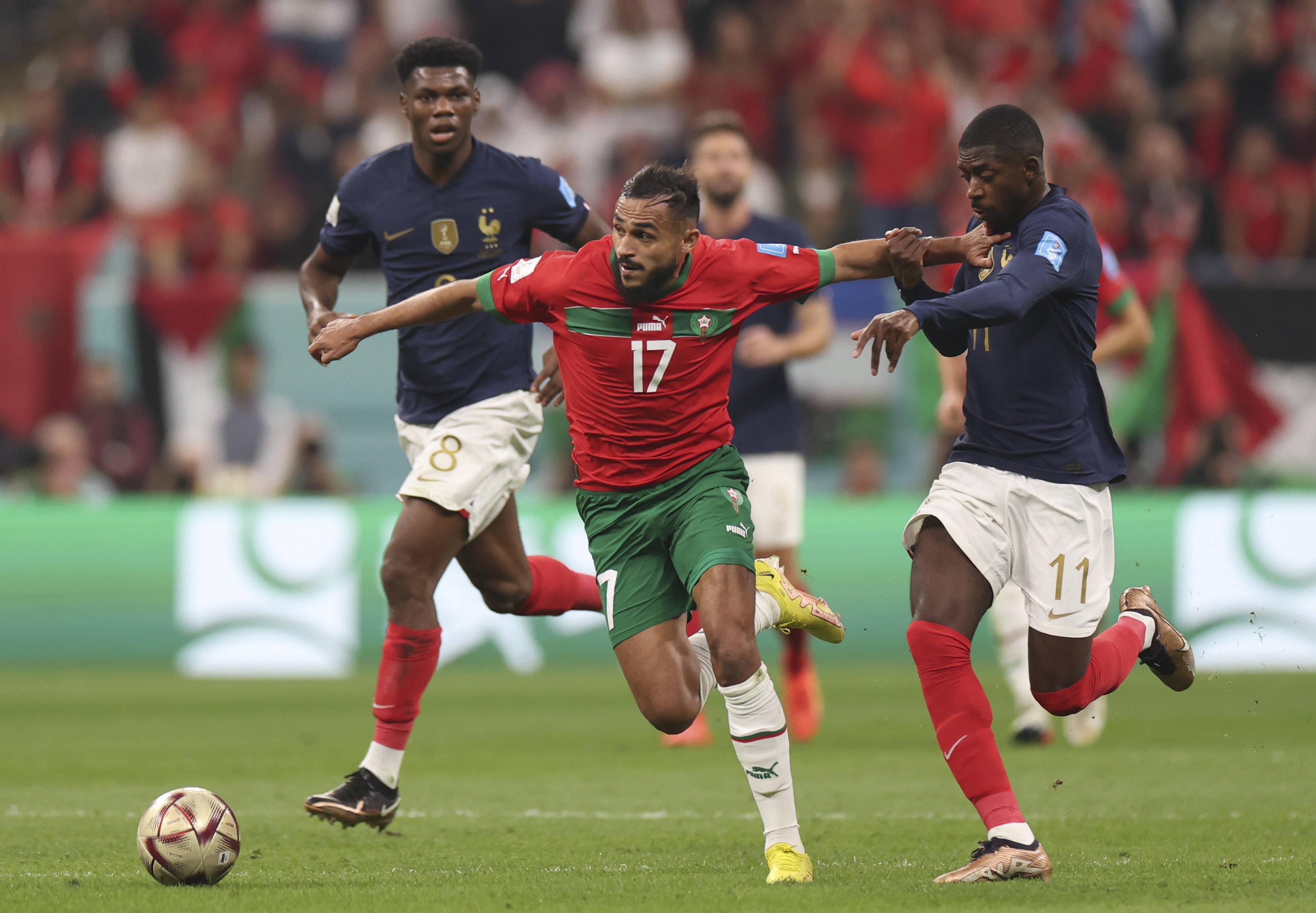 3篮板的表 3篮板的表