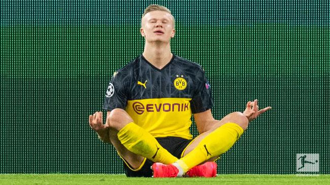 解析臂鞘角 解析臂鞘角