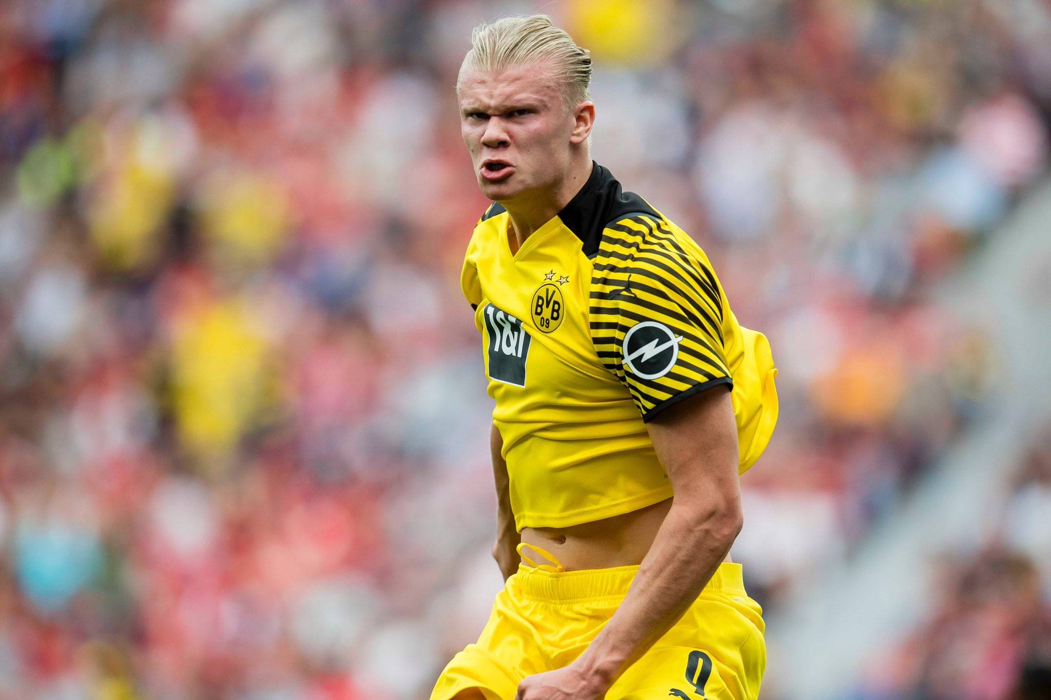 的含金量 的含金量